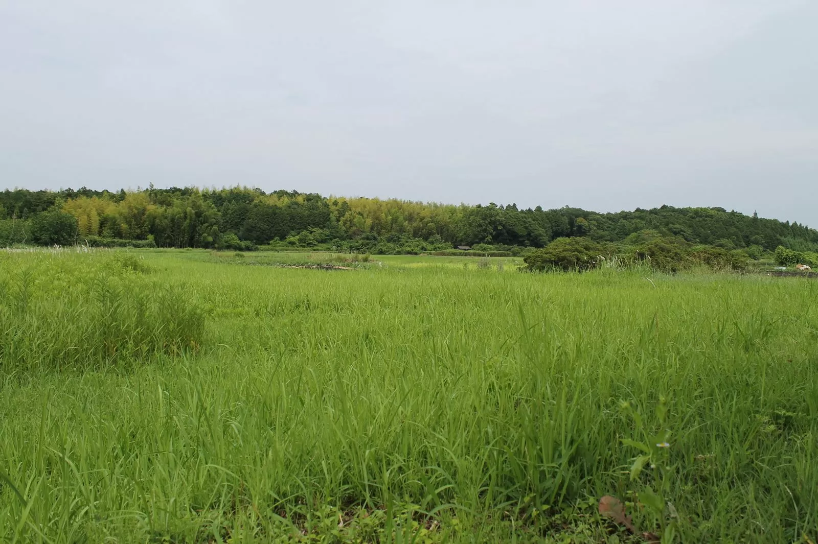 土地売却｜高松市で不動産売却なら株式会社ＦＴクリエイト