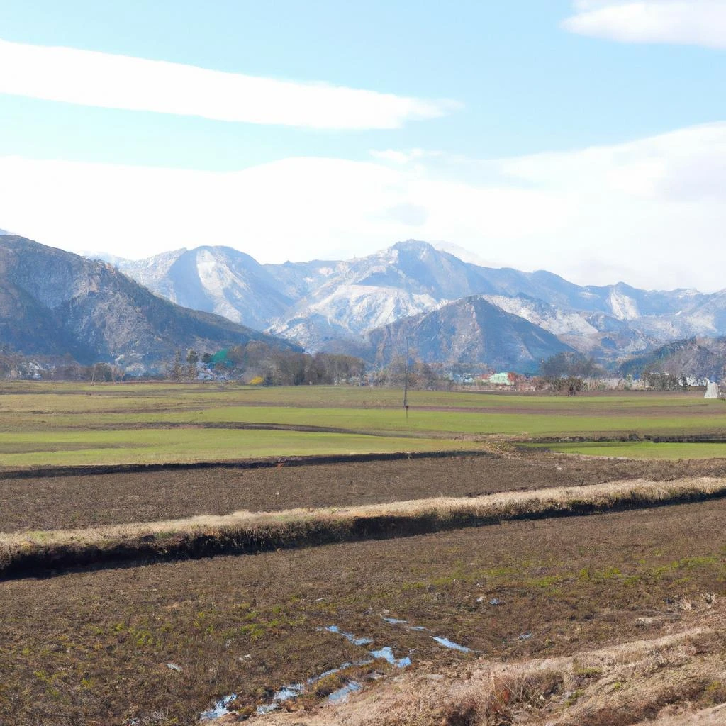 農地の売却｜坂出市での農地売却はお任せください！信頼と実績で安心のサポートを提供します。株式会社ＦＴクリエイト
